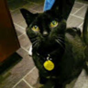 Meet your Posher, May